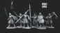 Preview: North Warriors mit Speer und Schild